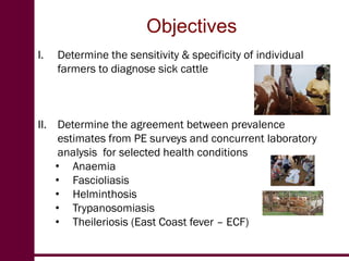Participatory prevalence estimation: A pilot survey in Kenya