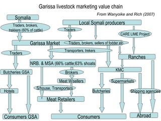 The poverty impacts of animal diseases in developing countries: new roles, new demands for economics and epidemiology