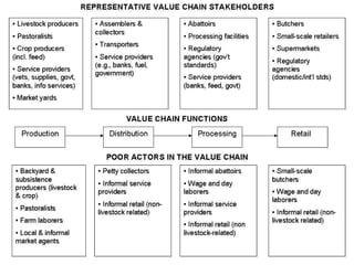 The poverty impacts of animal diseases in developing countries: new roles, new demands for economics and epidemiology