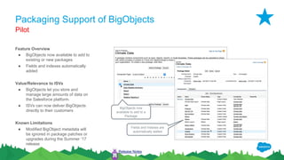 Packaging Support of BigObjects
Feature Overview
● BigObjects now available to add to
existing or new packages
● Fields and indexes automatically
added
Value/Relevance to ISVs
● BigObjects let you store and
manage large amounts of data on
the Salesforce platform.
● ISVs can now deliver BigObjects
directly to their customers
Known Limitations
● Modified BigObject metadata will
be ignored in package patches or
upgrades during the Summer ‘17
release
Pilot
Release Notes
BigObjects now
available to add to a
Package
Fields and Indexes are
automatically added
 