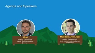 Agenda and Speakers
Image
Host Metadata API in Apex
Andrey Volosevich
Director, Technical Enablement
@andreyvol
Aaron Slettehaugh
Senior Director, Product Management
@slettehaugh
 