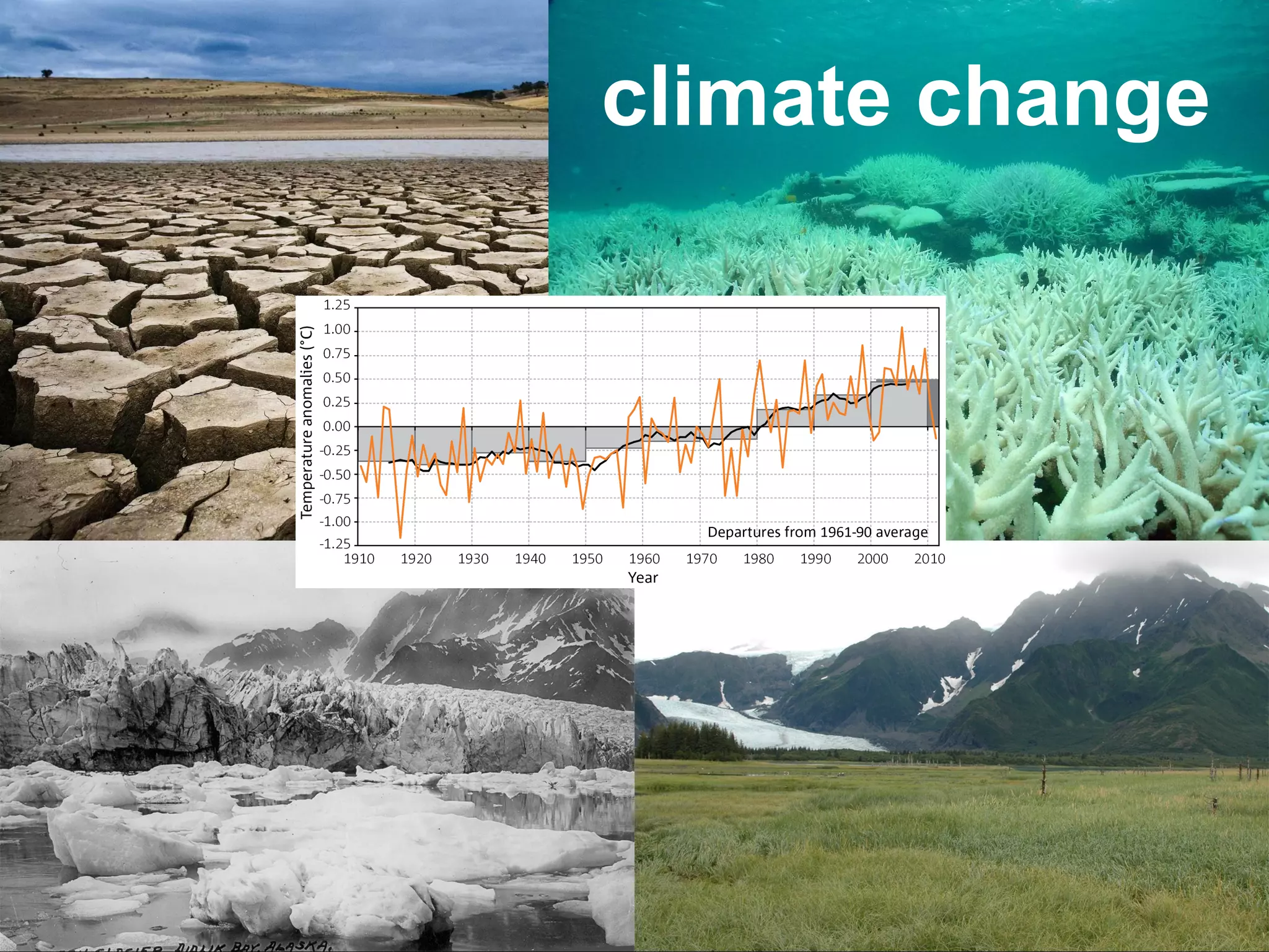 climate change

 