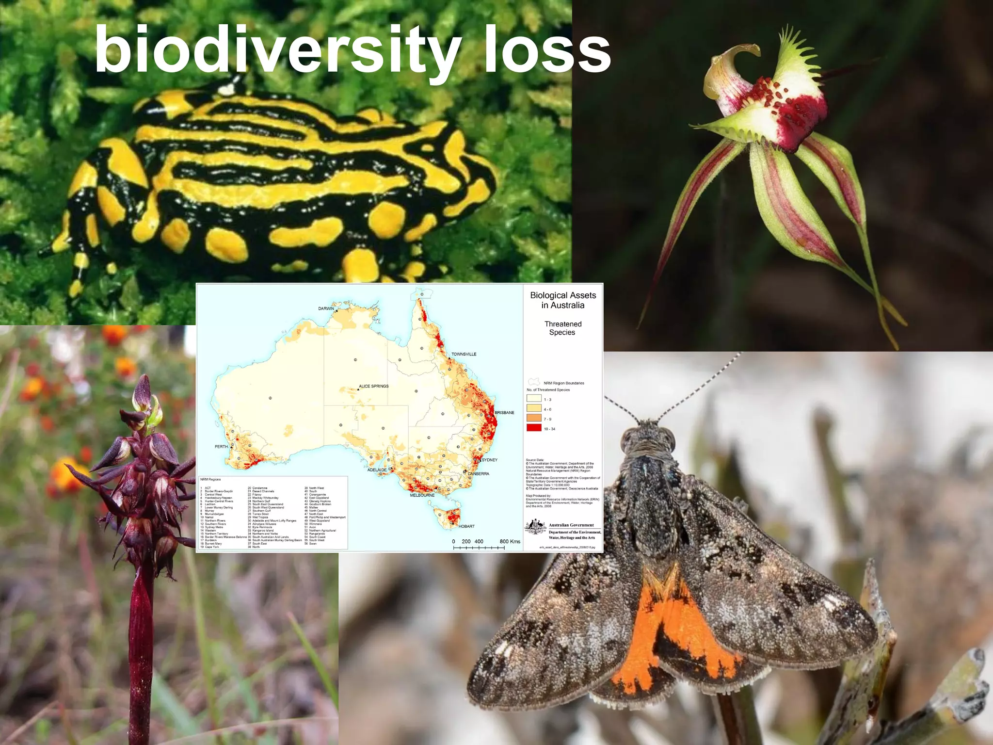 biodiversity loss

 