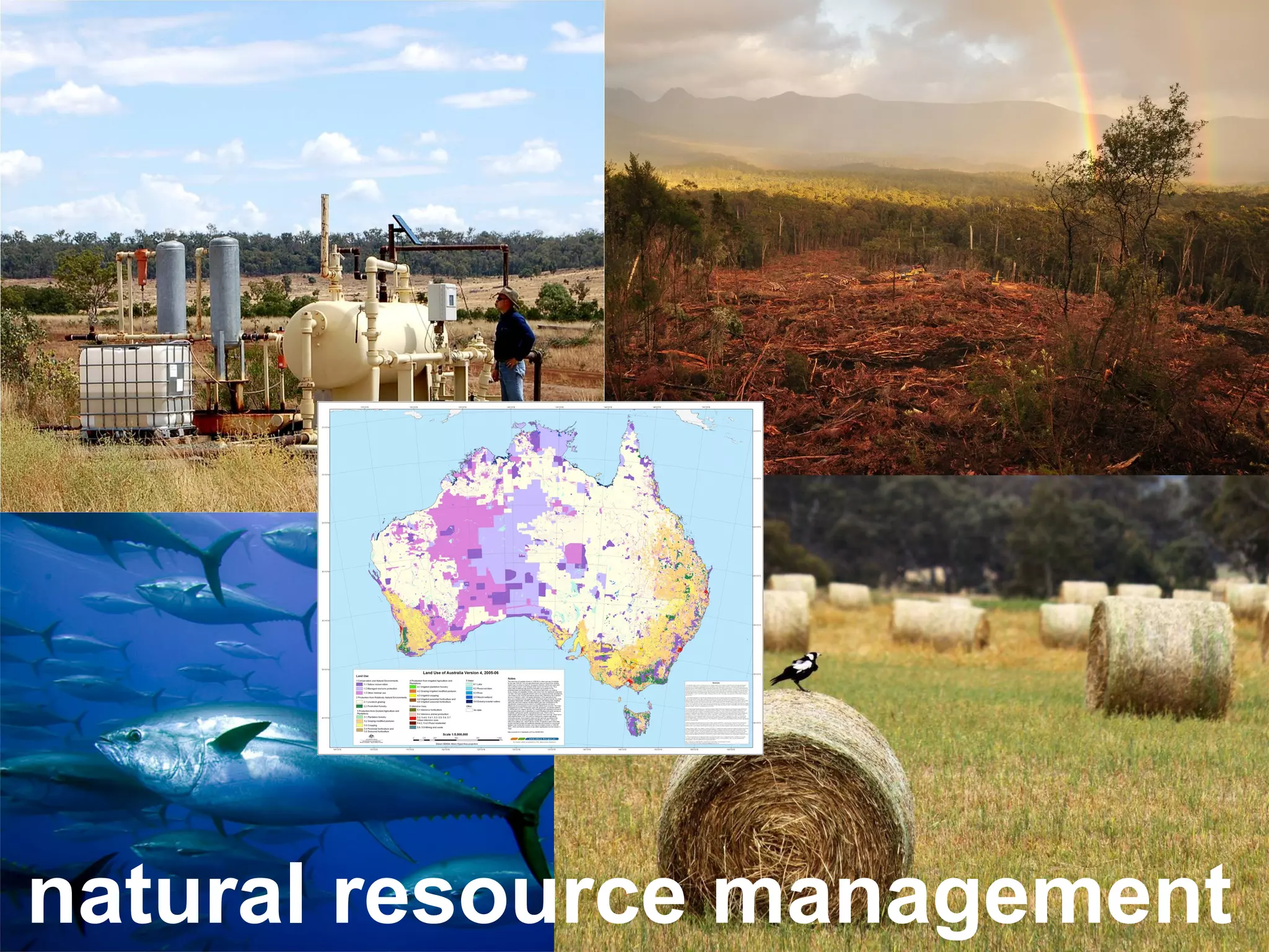 natural resource management

 