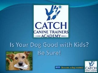 Become a dog trainer!
 