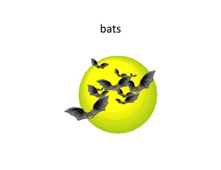 bats
 