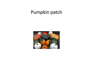Pumpkin patch
 