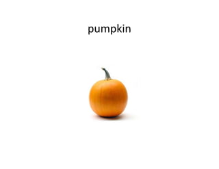 pumpkin
 