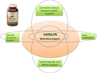 Connective tissue;
immune system
support
CATALYN
Whole Body Support
Cardiovascular and
Nerve Support
Body
metabolism
General
Endocrine
Support
 