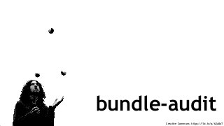 Creative Commons: https://flic.kr/p/62a8aT
bundle-audit
 