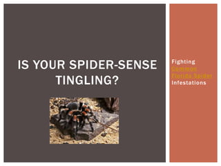 IS YOUR SPIDER-SENSE   Fighting
                       Common
                       Florida Spider
      TINGLING?        Infestations
 
