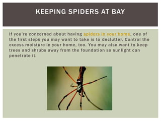 KEEPING SPIDERS AT BAY
If you’re concerned about having spiders in your home , one of
the first steps you may want to take is to declutter. Control the
excess moisture in your home, too. You may also want to keep
trees and shrubs away from the foundation so sunlight can
penetrate it.