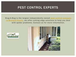 PEST CONTROL EXPERTS
Slug- A -Bug is the largest independently owned pest control company
in Brevard County, we of fer cutting edge solutions to help you deal
with spider problems. Contact us for more information.