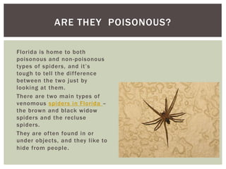 ARE THEY POISONOUS?
Florida is home to both
poisonous and non-poisonous
types of spiders, and it’s
tough to tell the difference
between the two just by
looking at them.
There are two main types of
venomous spiders in Florida –
the brown and black widow
spiders and the recluse
spiders.
They are often found in or
under objects, and they like to
hide from people .
