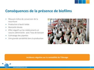 Conséquences de la présence de biofilms
   Mauvais indice de conversion de la
    nourriture
   Production d'œufs faible
   Mortalité élevée
   Effet négatif sur les médicaments et
    vaccins administrés avec l’eau de boisson
   Colmatage des pipettes
   Une grande variabilité dans la production




                             Incidence négative sur la rentabilité de l‘élevage



         www.planethorizons.com                                                   7
 