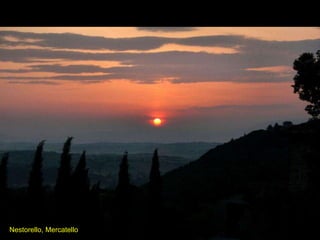 Nestorello, Mercatello 