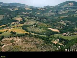 Assisi 
