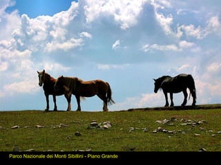 Parco Nazionale dei Monti Sibillini - Piano Grande 