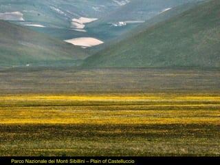 Parco Nazionale dei Monti Sibillini – Plain of Castelluccio 