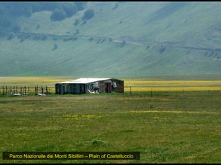 Parco Nazionale dei Monti Sibillini – Plain of Castelluccio 