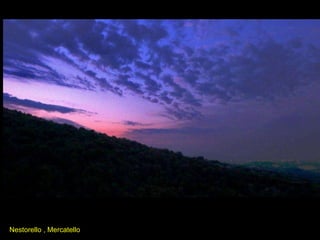Nestorello , Mercatello 