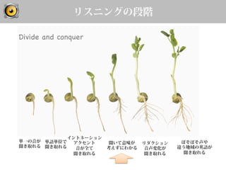 リスニングの段階
単一の音が
聞き取れる
単語単位で
聞き取れる
イントネーション
アクセント
音が全て
聞き取れる
リダクション
音声変化が
聞き取れる
聞いて意味が
考えずにわかる
ぼそぼそ声や
違う地域の英語が
聞き取れる
Divide and conquer 	
 