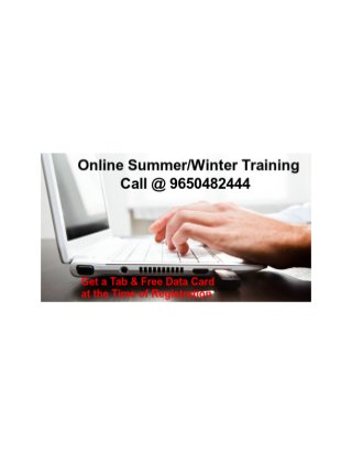 Online Summer/Winter Training in Noida India Call @+91- 9650482444
