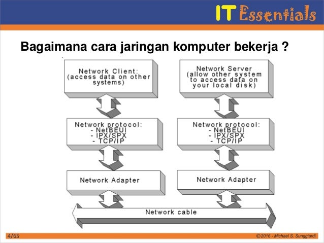 Belajar forex dr wan