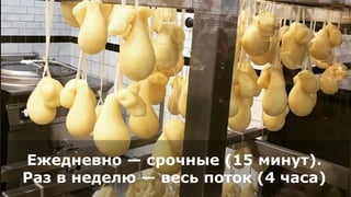 Ежедневно — срочные (15 минут).
Раз в неделю — весь поток (4 часа)
 