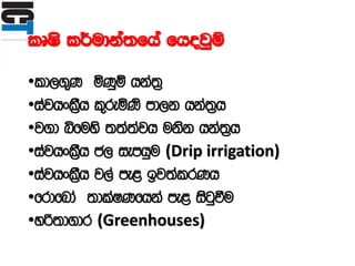 lDIs l¾udka;fha fhojqï
•ld,.=K ñKqï hka;%
•iajhxl%Sh l=reñKs md,k hka;%h
•j.d ìfuys ;;a;ajh uksk hka;%h
•iajhxl%Sh c, iemhqu (Drip irrigation)
•iajhxl%Sh j,a me< bj;alrKh
•frdfnda ;dlaIKfhka me< isgqùu
•yß;d.dr (Greenhouses)
 