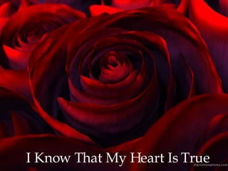 I Know That My Heart Is True 