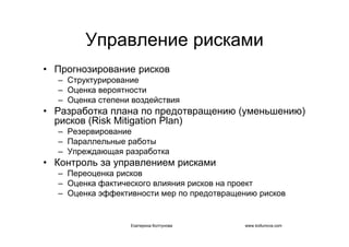 IT project management