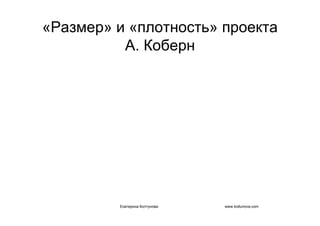 IT project management