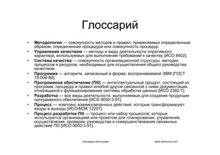 IT project management