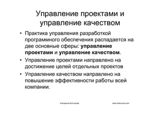 IT project management