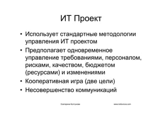 IT project management