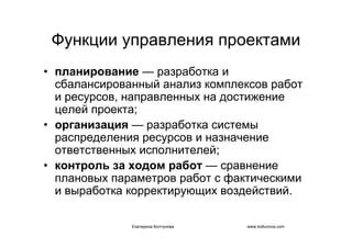 IT project management