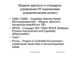 IT project management