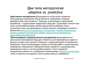 IT project management