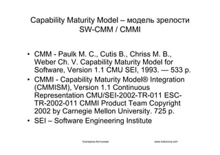 IT project management