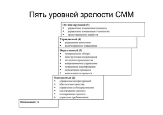 IT project management