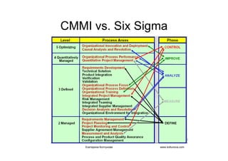 IT project management