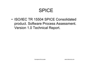 IT project management