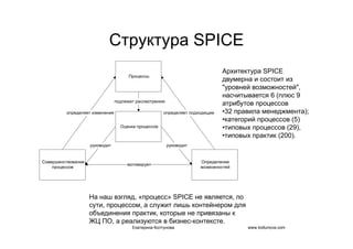 IT project management