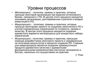 IT project management