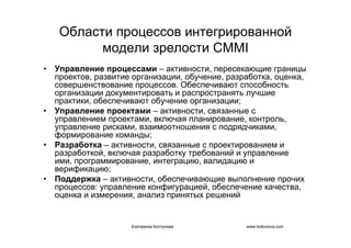 IT project management