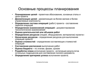 IT project management