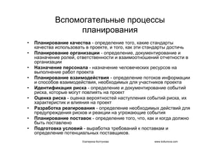 IT project management