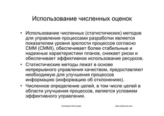 IT project management