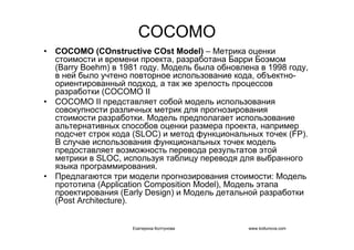 IT project management